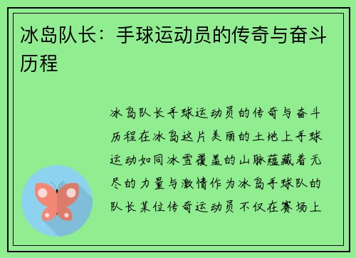 冰岛队长：手球运动员的传奇与奋斗历程